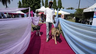 ⁣Nigerian dog owners gather for 4th Lagos Dog Carnival