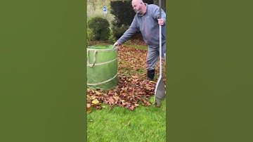 SUPER FAST! Leaf collection for composting #timelapse #gardening #shorts #oddlysatisfying