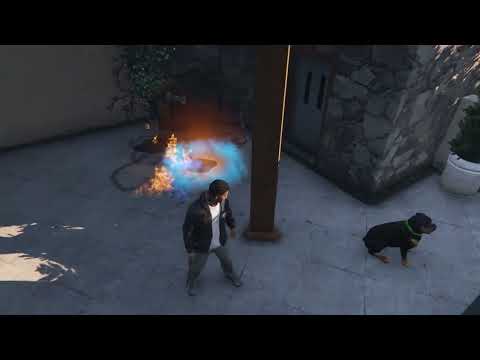 Vinewood visionary achievement