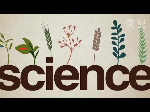 Vídeo: O que é jardinagem atômica - história da radiação e das plantas