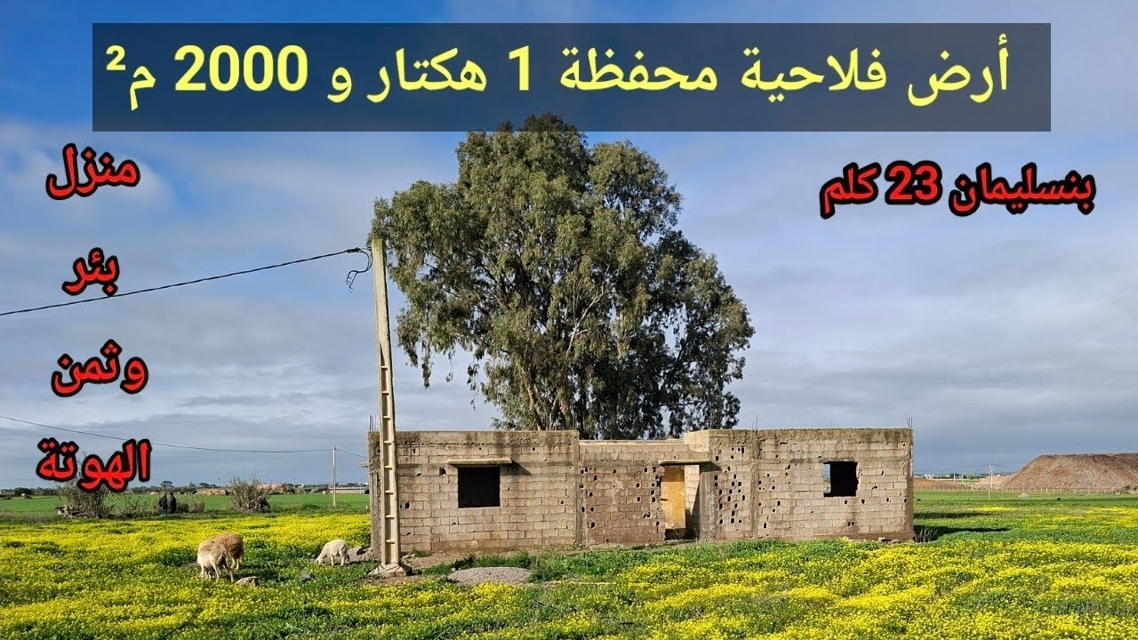 أرض فلاحية محفظة 1 هكتار و 2000 م² بها منزل و بئر باقليم بنسليمان 