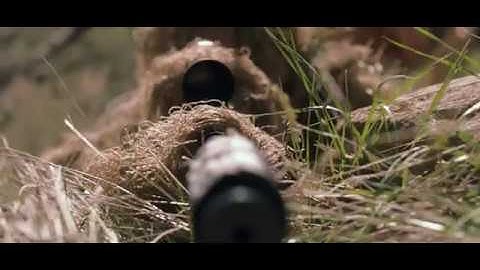 Action Targets- Auto Targets