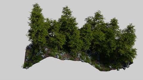 Procedural Forest
