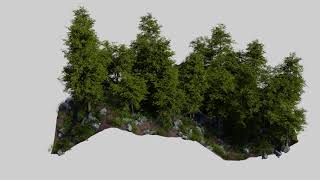 Procedural Forest