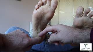 Celebrity Reflexology techniques for sciatica Wealth