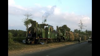 Trangkil Double Headers, Central Java, Indonesia