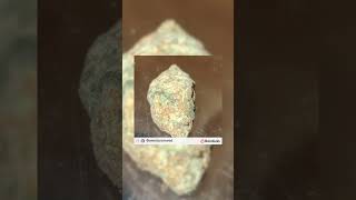 Download Lagu Sto PRO weed Boom Bap beat MP3