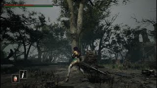 Anime Girls - Fantasy Desire