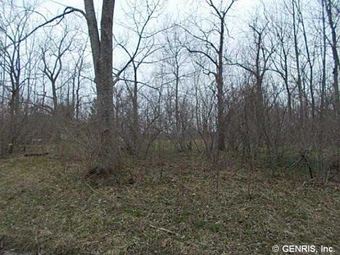 Lots And Land