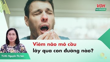 Viêm não mô cầu lây qua đường nào? Tiếp xúc người bệnh có cần cách ly không? | Nhịp Sống Khỏe VOH
