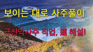 보이는 대로 사주풀이  극신약사주 직업, 運 해설!