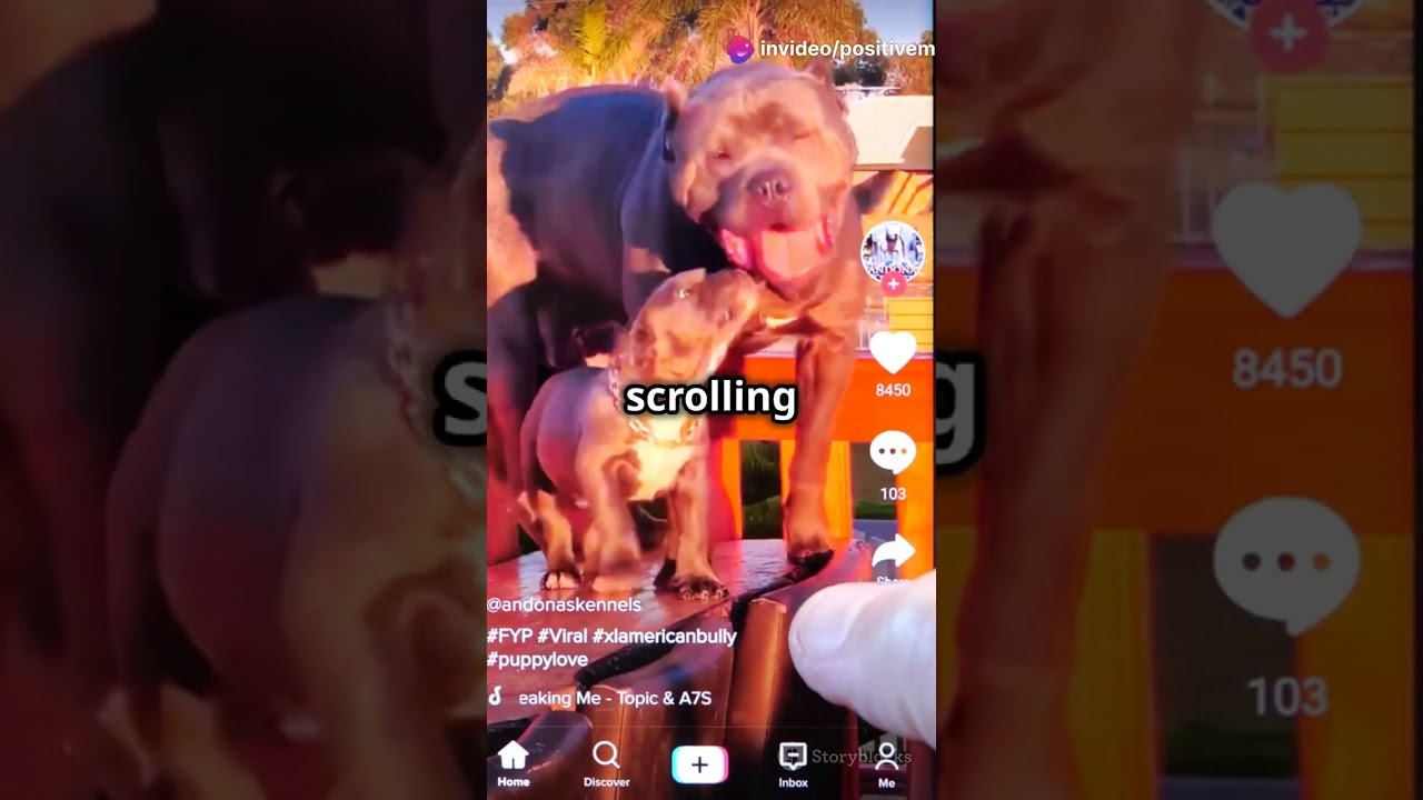 Top 10 Social Media Apps You Can't Live Without!