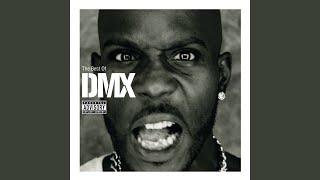 Party Up - DMX