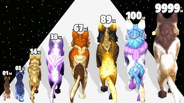 Wolf Run Evolution - Level Up Wolf Max Level Gameplay