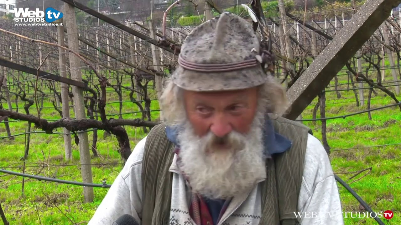 Il Pastore Buono del Trentino Marco Demattio detto Scota … #webtvstudios