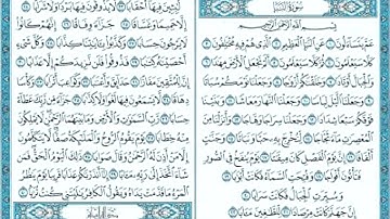 القرأن الكريم | الفاتحه | سورة النبأ | بصوت القارئ طارق علاء الدين