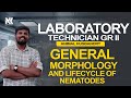 LABORATORY TECHNICIAN GR-2II GENERAL MORPHOLOGY AND LIFECYCLE OF NEMATODES II#animalhusbandry 