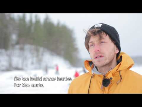 वीडियो: बर्फ स्ट्रिपटीज़. स्वयंसेवकों की आवश्यकता