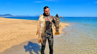 WERE BACK! Inshore Spearfishing Mission Chasing Fingermark & Barramundi