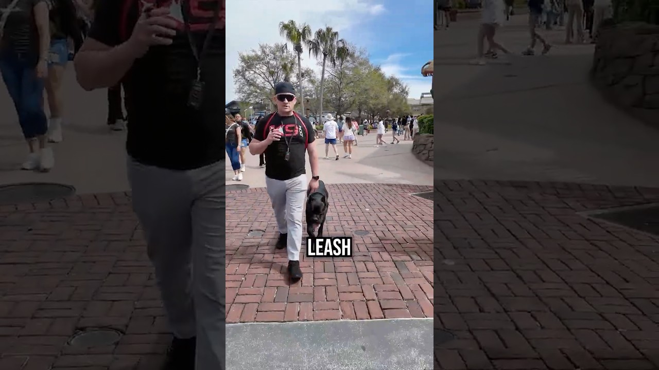 The Crowd Couldn't Believe It!