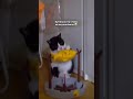Игрушка кормушка ♥️ артикул на Яндекс маркет: YM10197134 (не забудь в поиске вписать YM)