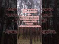 Магазин ковров #анекдот #приколы #мемы