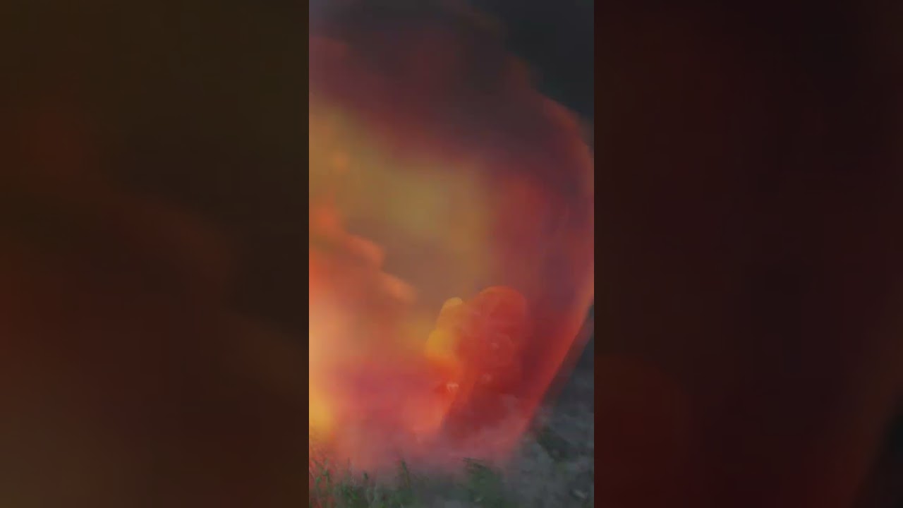 Дрон РФ выключил наемника быстро. 