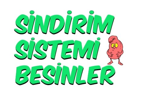 5dk'da SİNDİRİM SİSTEMİ BESİNLER | 7. Sınıf