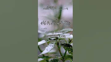 وتوكّل على الله ❤️ | آيات توكل | محمد بن صالح#تلاوة #قرآن #توكل #صبر #يقين #فرج #آيات #طمأنينة