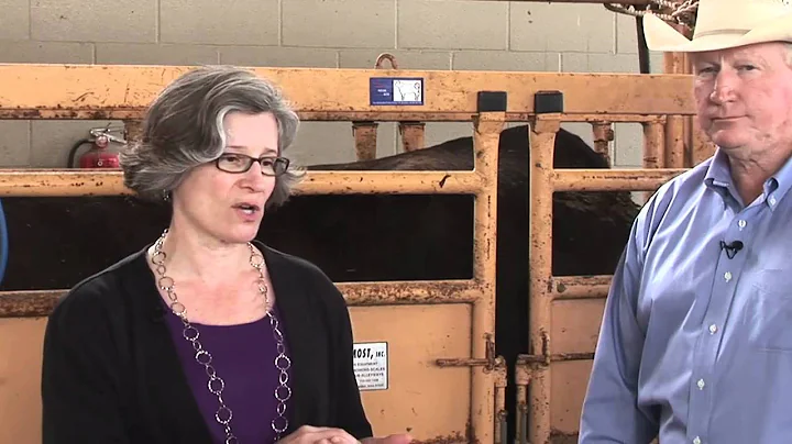 Virginia Fajt, DVM Use of Prescription Animal Heal...