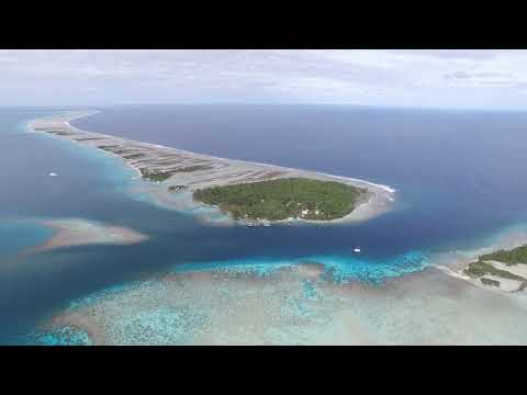 Видео: Извънземният биоробот ли е остров Сайбъл? - Алтернативен изглед