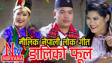 Dali Ko Phool | Sishir Gurung | Geeta Paija | New Nepali Song 2074