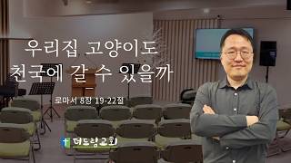 [20260823 주일예배] 우리 집 고양이도 천국에 갈 수 있을까 (롬 8:19-22)