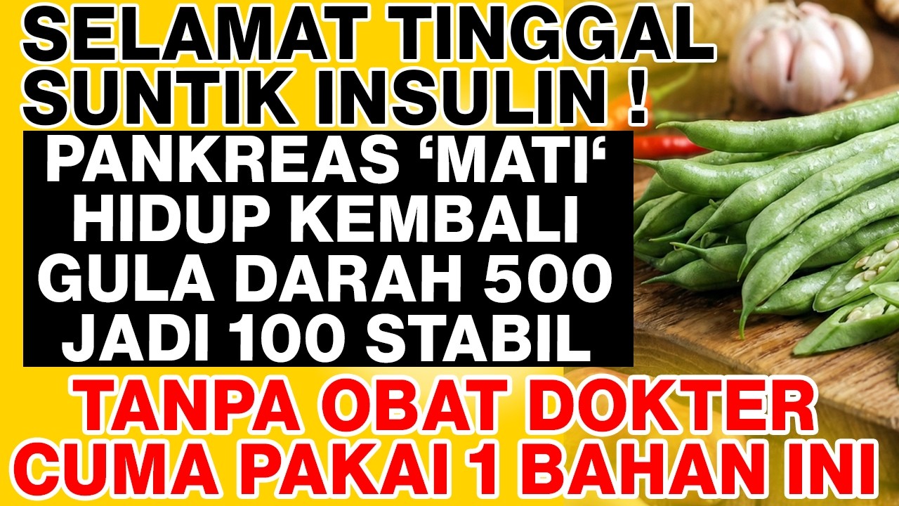 SELAMAT TINGGAL SUNTIK INSULIN! Pankreas 'Mati' Hidup Kembali, Gula Darah 500 Jadi 100 Stabil!