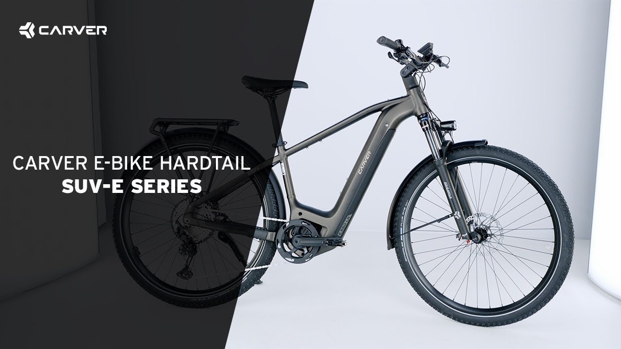 fatbike klapprad test Fiido X 2025 – Pendler-E-Bike mit iF Design Award Frame Color (Lens):POW Blue (Vivid Royal + Vivid Infrared) GT Pro Performer 29