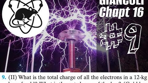 Problem #9 | Electromagnetism | Giancoli chapter 16