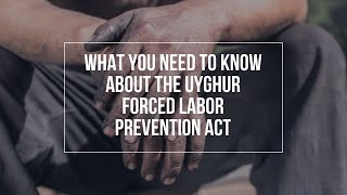 What You Need to Know About the Uyghur Forced Labor Prevention Act?