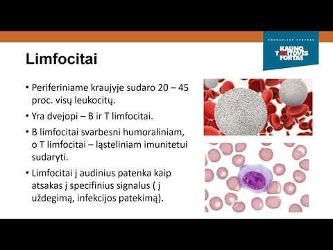 Biologija  Kraujas ir kraujo grupės