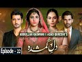 Watch Dil e Gumshuda Episode - 22 | Hina Altaf | Agha Ali | Mirza Zain Online In HD