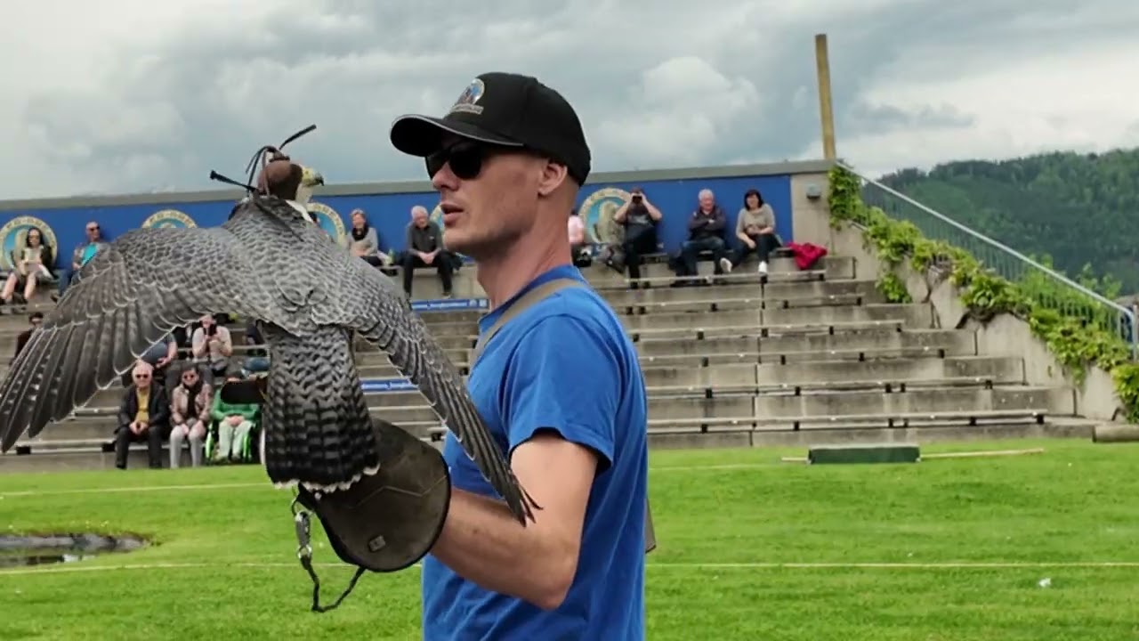 Greifvogelschau Burg Landskron 2024