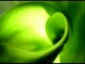 color verde significado, spicologia color verde