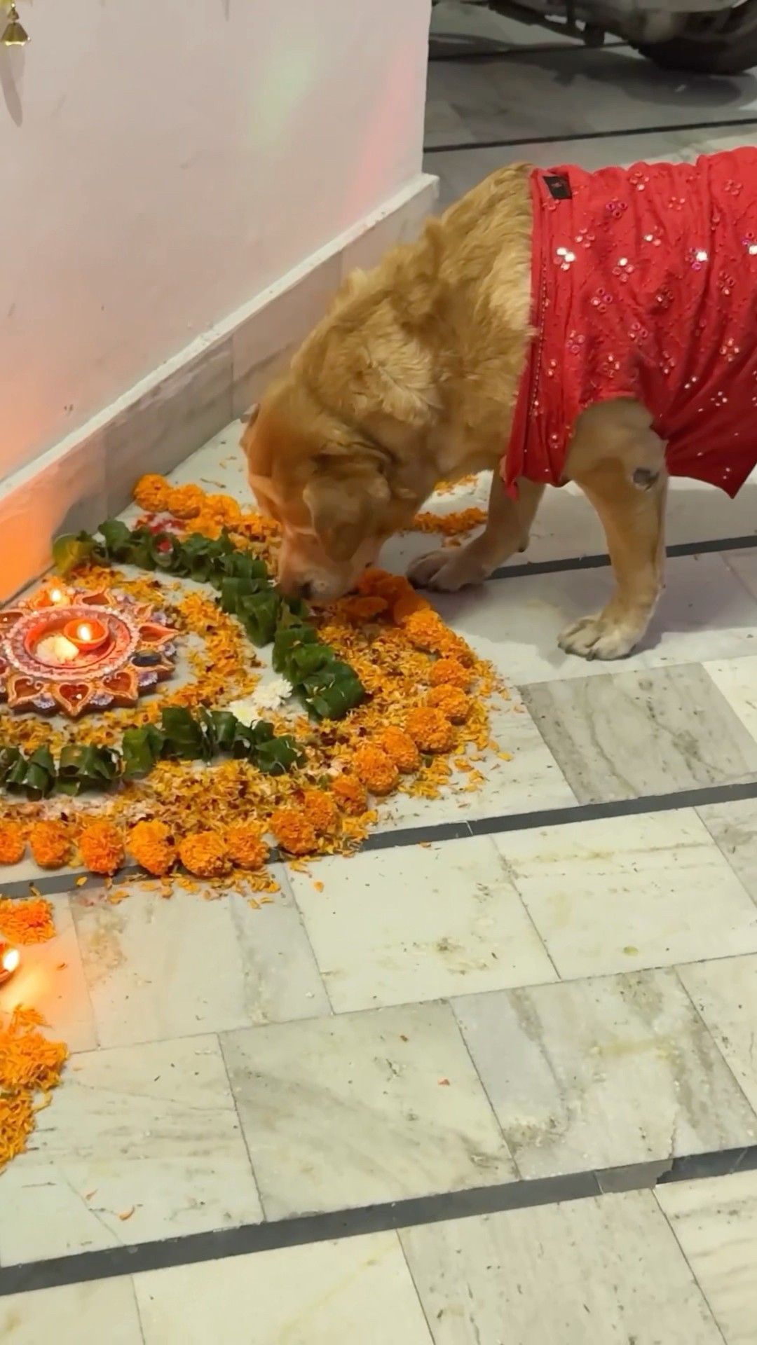 Diwali ki Decoration?? #shorts | Anant Rastogi
