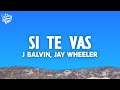 J Balvin Jay Wheeler Si Te Vas mp3