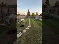 Backyard garden build transformation showing outdoor space upgrade #shorts #v=TfjDyzqTcdY