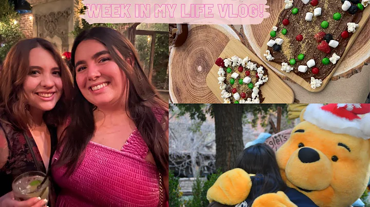 WEEKLY VLOG - Holiday Shopping, Disneyland Solo Day