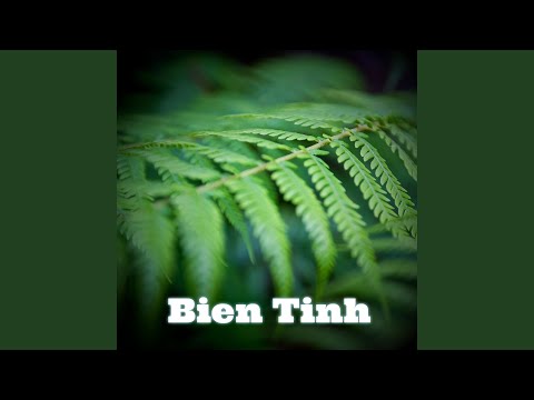 Bien Tinh auf YouTube ansehen