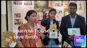 Scientific sparrow house// save birds and save environment. project by students