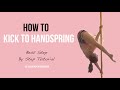 How to Kick to Handspring I Best Pole Dance Tutorial for Advanced I Pole Dance Handspring or Aysha