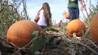 Historic Detering Orchards Understands Fresh Farm Produce
