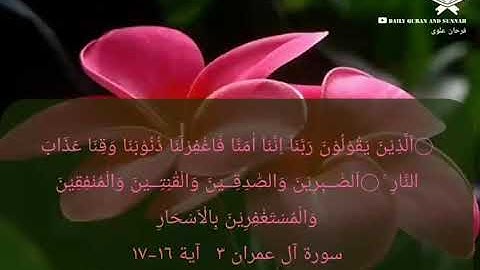 #daily_quran_and_sunnah, (Al'Imran 3 | Verse 16-17), (سورة آل عمران ٣ | آية ١٦-١٧)